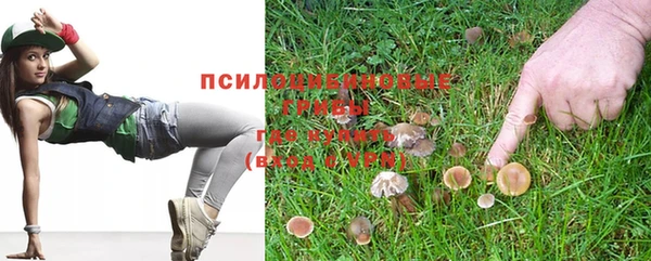 твердый Апатиты