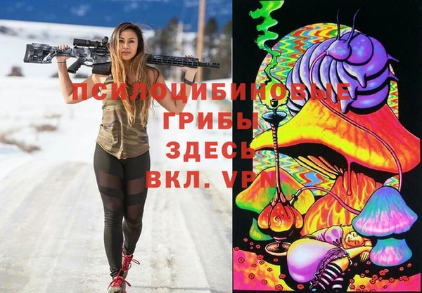 тгк Медногорск