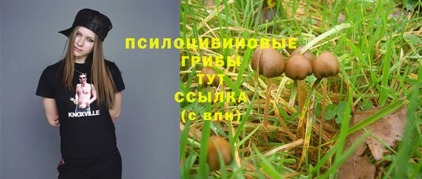 тгк Медногорск