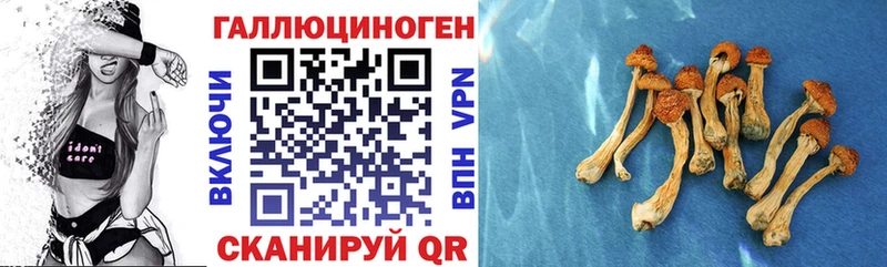 Псилоцибиновые грибы Magic Shrooms  Ильский 